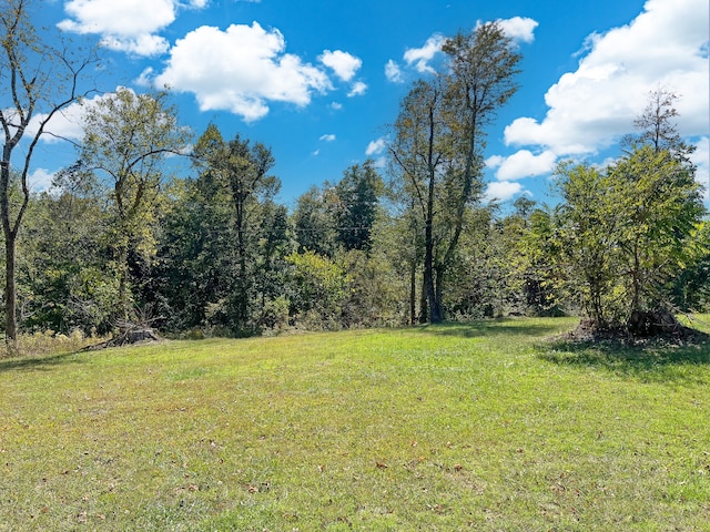 0 Mount Herman Rd, Shelbyville TN, 37160 land for sale