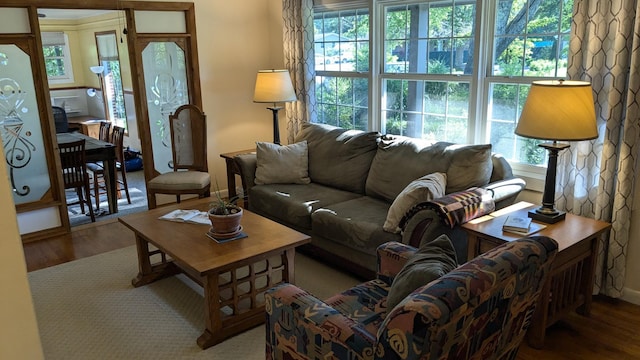 living room featuring hardwood / wood-style floors