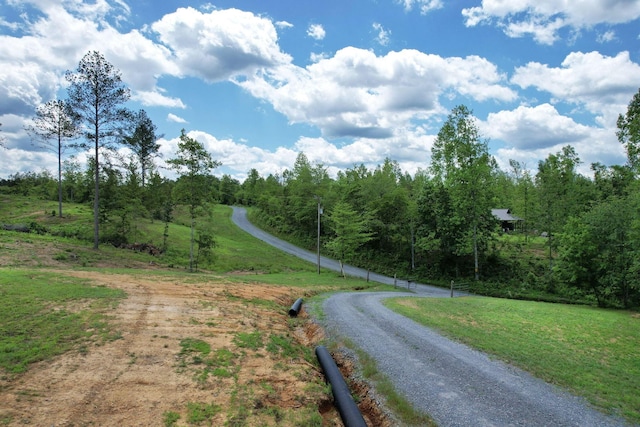 1033 Carter Rd SE, Old Fort, TN 37362 - view of street featuring a rural view