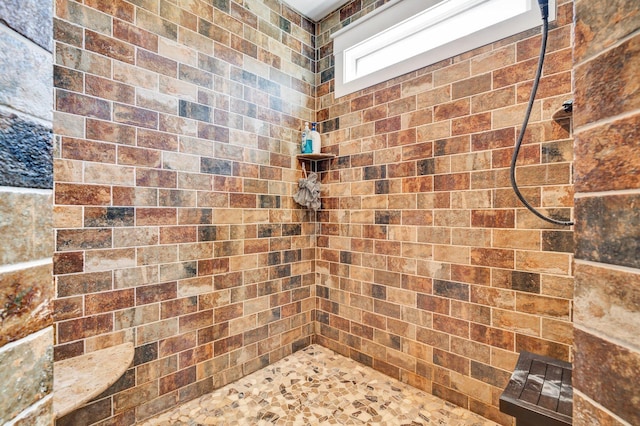 1033 Carter Rd SE, Old Fort, TN 37362 - bathroom with tiled shower