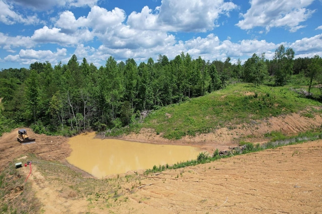1033 Carter Rd SE, Old Fort, TN 37362 - view of local wilderness featuring a water view