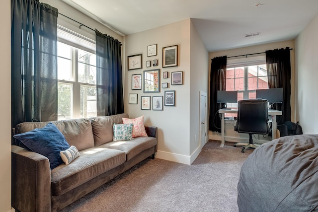 office featuring plenty of natural light and carpet floors