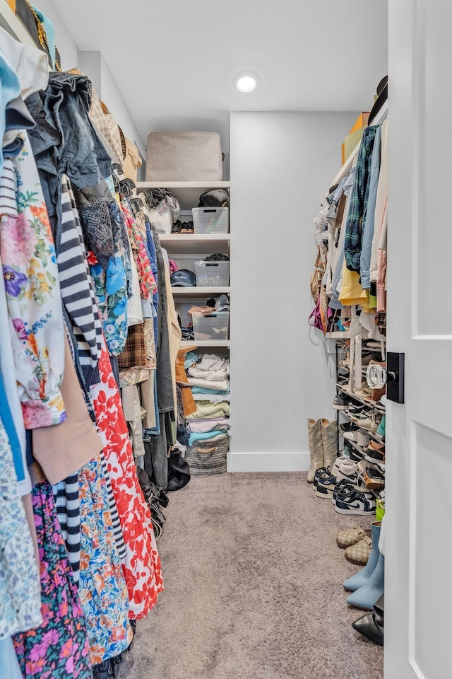 spacious closet with carpet floors