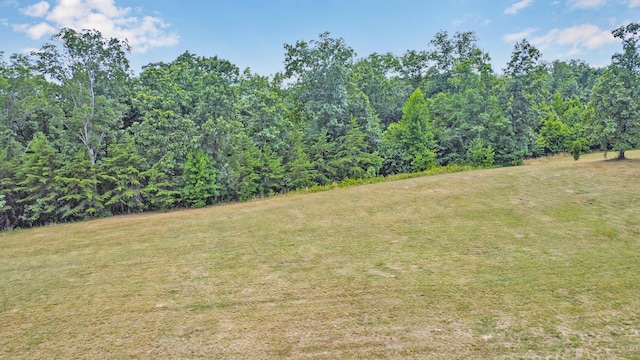 Listing photo 2 for 336 Hidden Forest Trl, Spring City TN 37381