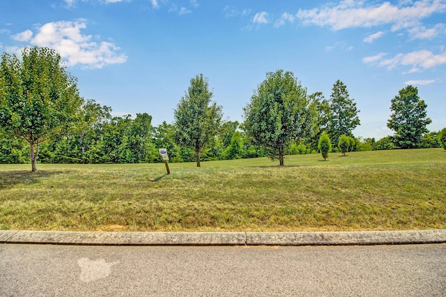 336 Hidden Forest Trl, Spring City TN, 37381 land for sale