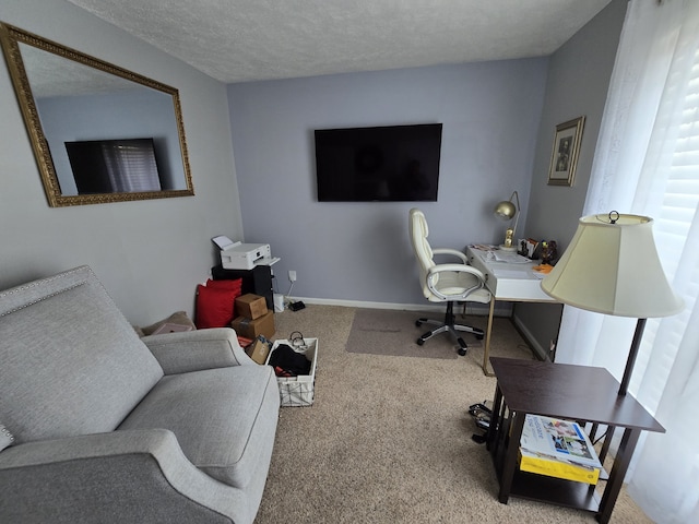 office featuring a textured ceiling and carpet floors