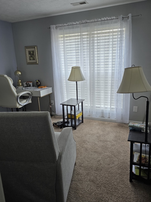 living room with a textured ceiling and carpet