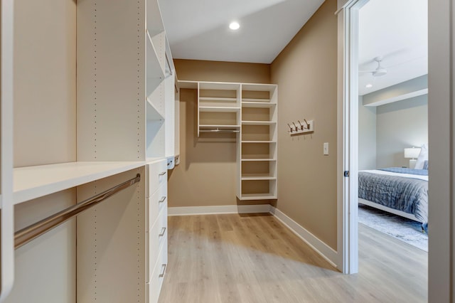 spacious closet featuring light wood finished floors