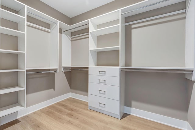 spacious closet featuring light hardwood / wood-style flooring