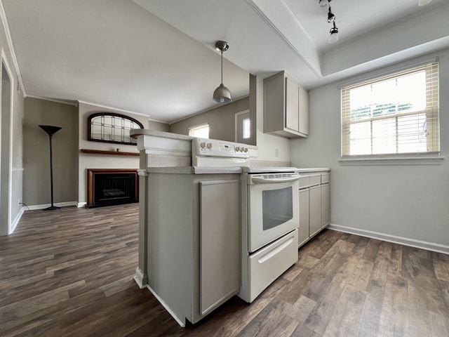 kitchen with dark hardwood / wood-style flooring, a tray ceiling, and white electric stove