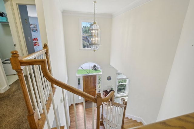 staircase with crown molding, a notable chandelier, and carpet flooring