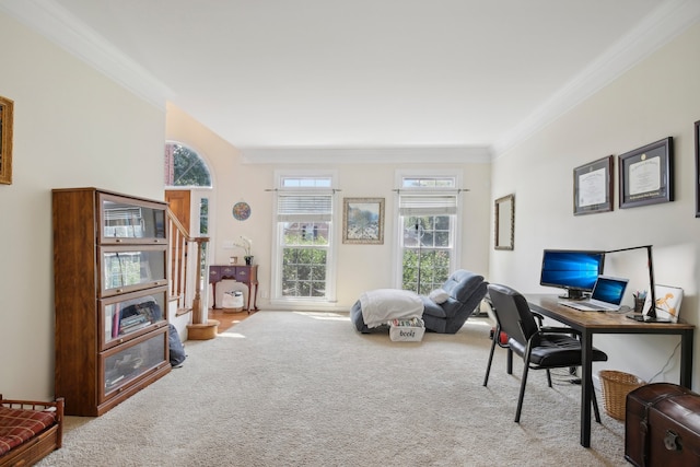 office space featuring ornamental molding and light carpet