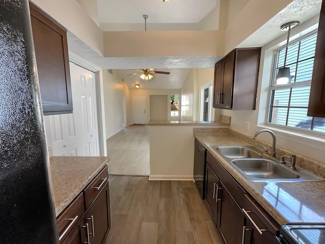 kitchen featuring ceiling fan, sink, dishwasher, light hardwood / wood-style floors, and hanging light fixtures