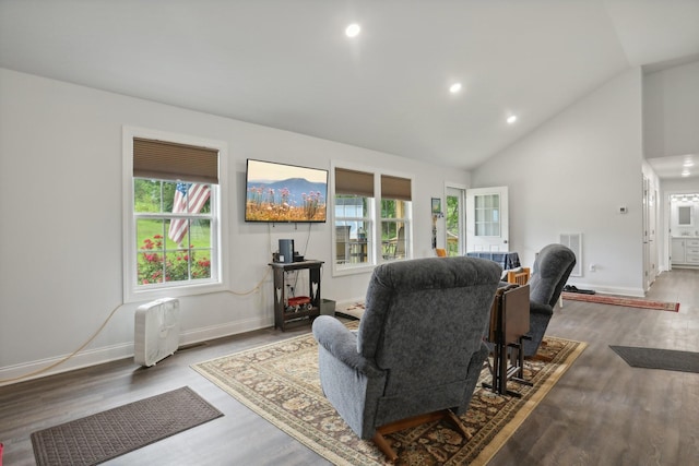 living room with hardwood / wood-style flooring and high vaulted ceiling