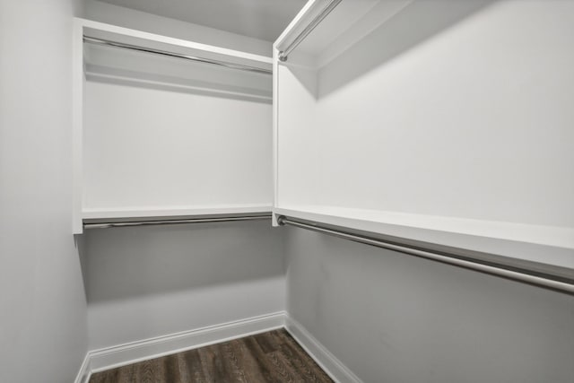 walk in closet with dark hardwood / wood-style floors