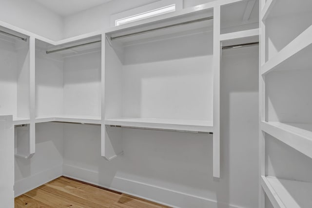 spacious closet with wood-type flooring