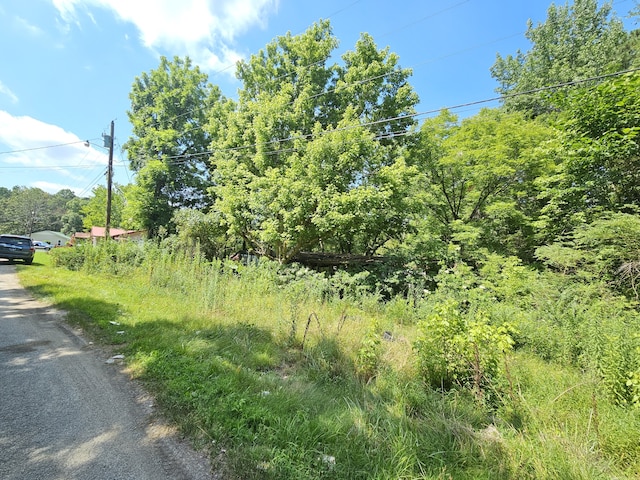 Listing photo 3 for 351 Alabama Ave, Parsons TN 38363