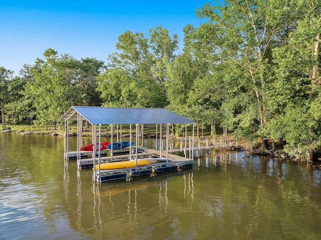 dock area with a water view