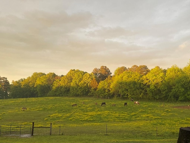 exterior space with a rural view