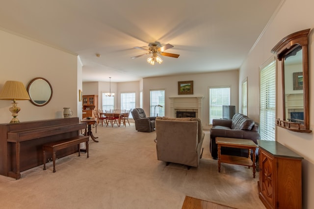 carpeted living room featuring a tiled fireplace, ceiling fan with notable chandelier, and ornamental molding