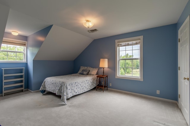 160 Sinking Creek Rd, Petersburg, TN 37144 - carpeted bedroom with baseboards and lofted ceiling