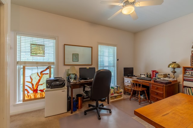 carpeted office with a healthy amount of sunlight and ceiling fan