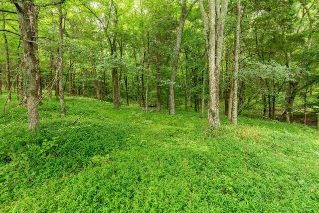 160 Sinking Creek Rd, Petersburg, TN 37144 - view of tree filled area