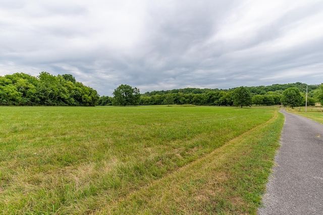 160 Sinking Creek Rd, Petersburg, TN 37144 - view of street featuring a forest view and a rural view