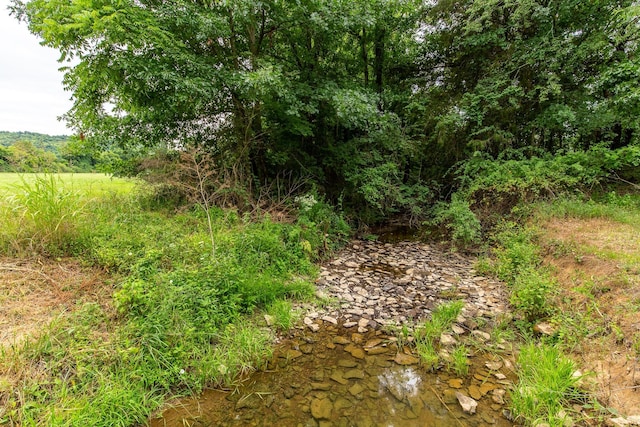 160 Sinking Creek Rd, Petersburg, TN 37144 - view of undeveloped land