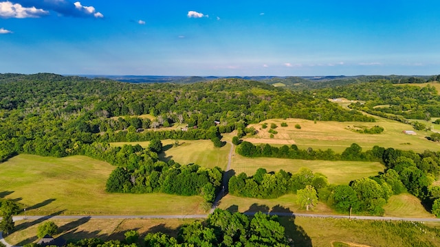 drone / aerial view