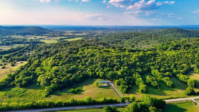 160 Sinking Creek Rd, Petersburg, TN 37144 - aerial view of a forest