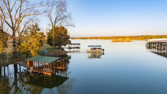 dock area with a water view