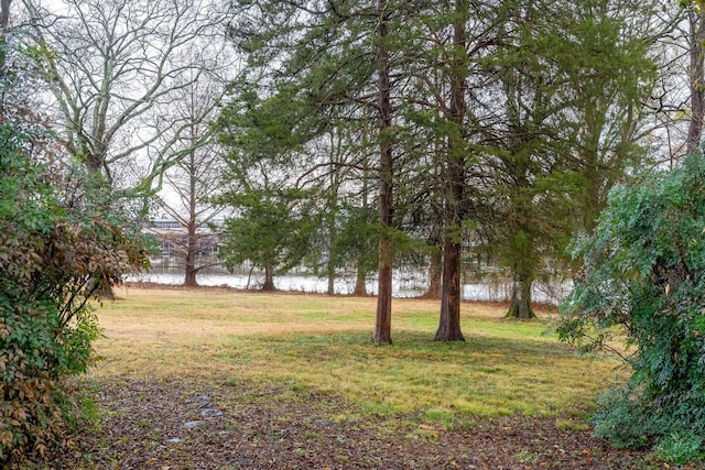 view of yard featuring a water view