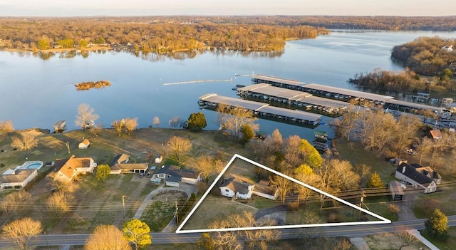 aerial view with a water view