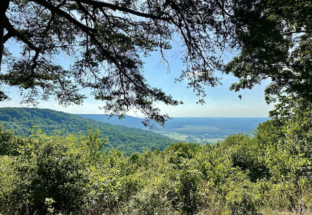 view of mountain feature