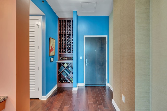 wine room featuring dark wood-type flooring