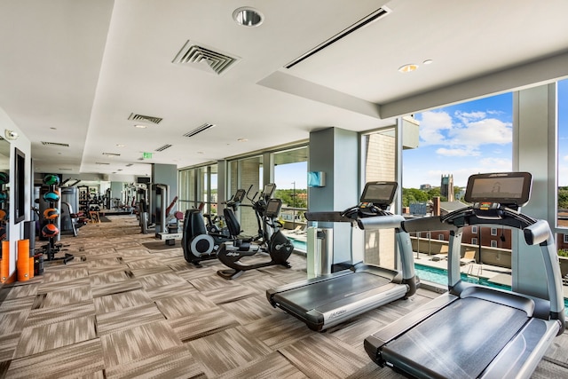 workout area featuring a wall of windows and carpet floors