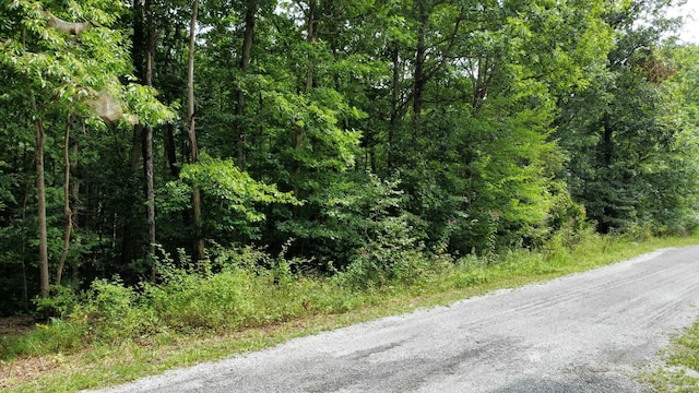 Listing photo 3 for 2105 Black Wolf Dr, Crossville TN 38572