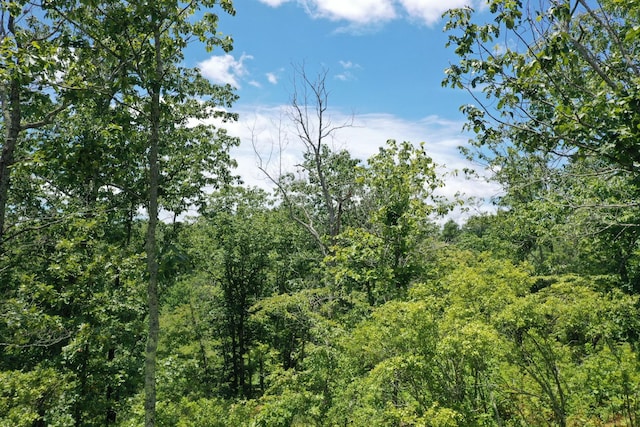 view of local wilderness