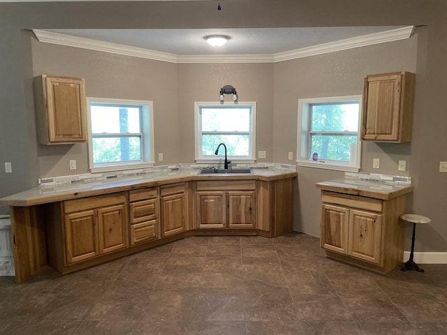 kitchen featuring crown molding and sink