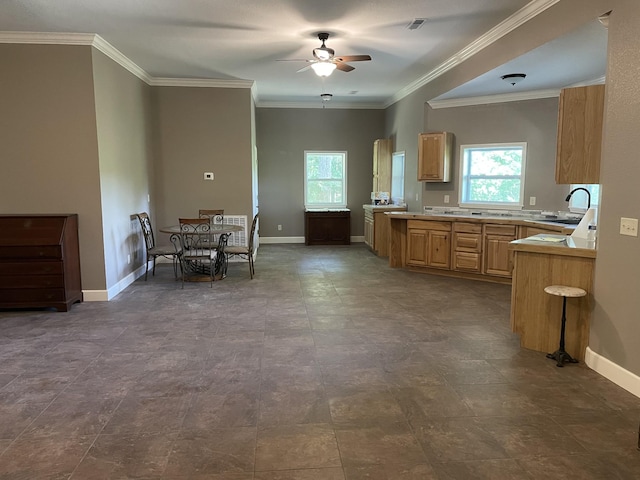 kitchen with crown molding, ceiling fan, a healthy amount of sunlight, and sink