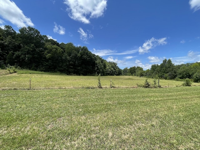 view of yard with a rural view