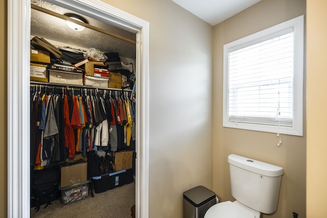 bathroom featuring toilet and plenty of natural light