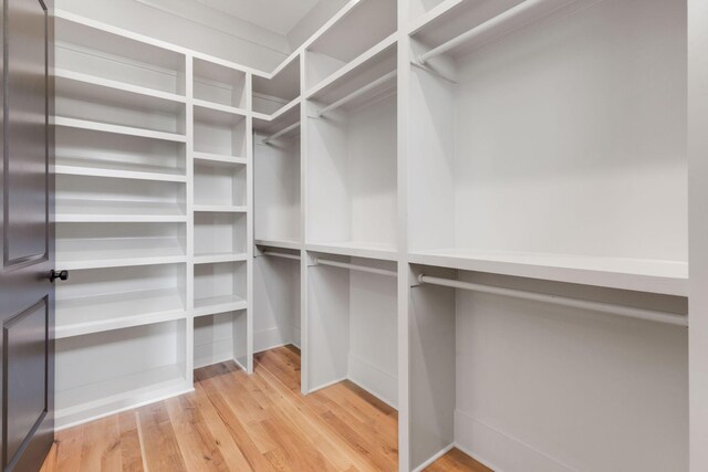 walk in closet with hardwood / wood-style flooring