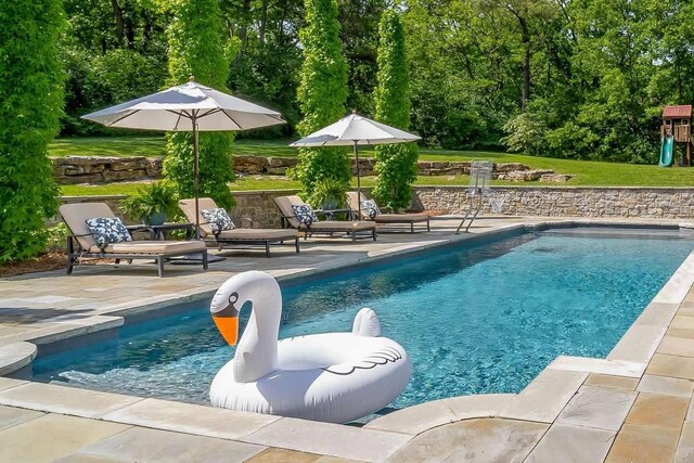 view of pool featuring a patio