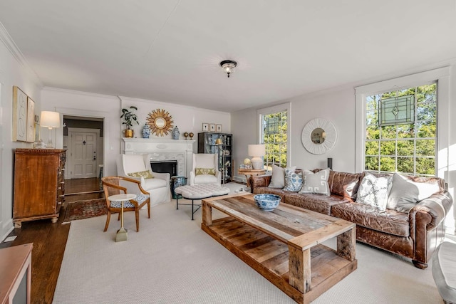 living room featuring ornamental molding, dark hardwood / wood-style flooring, and a wealth of natural light