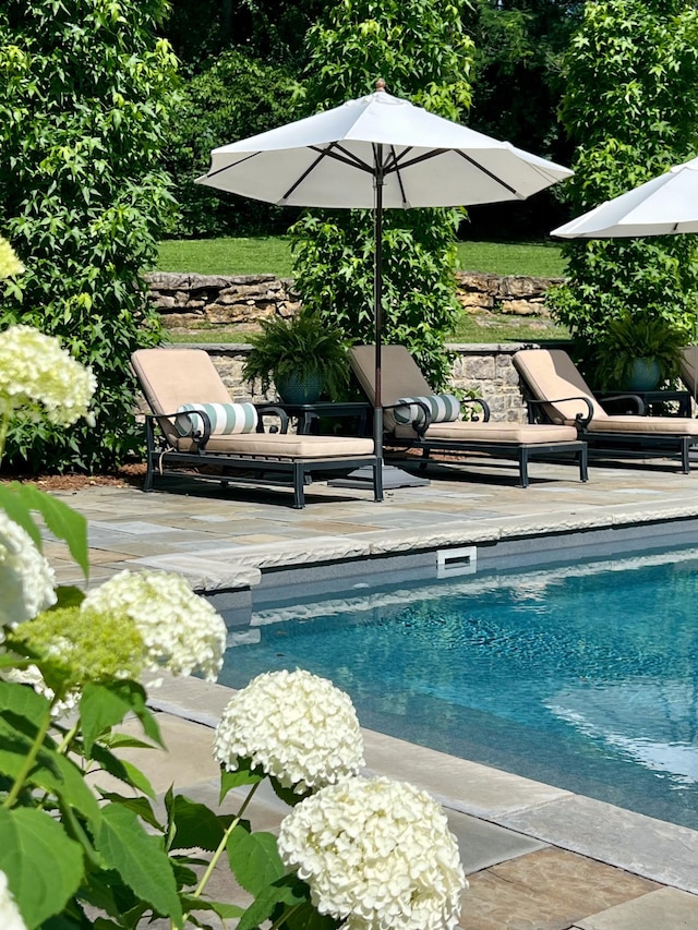 view of pool with a patio