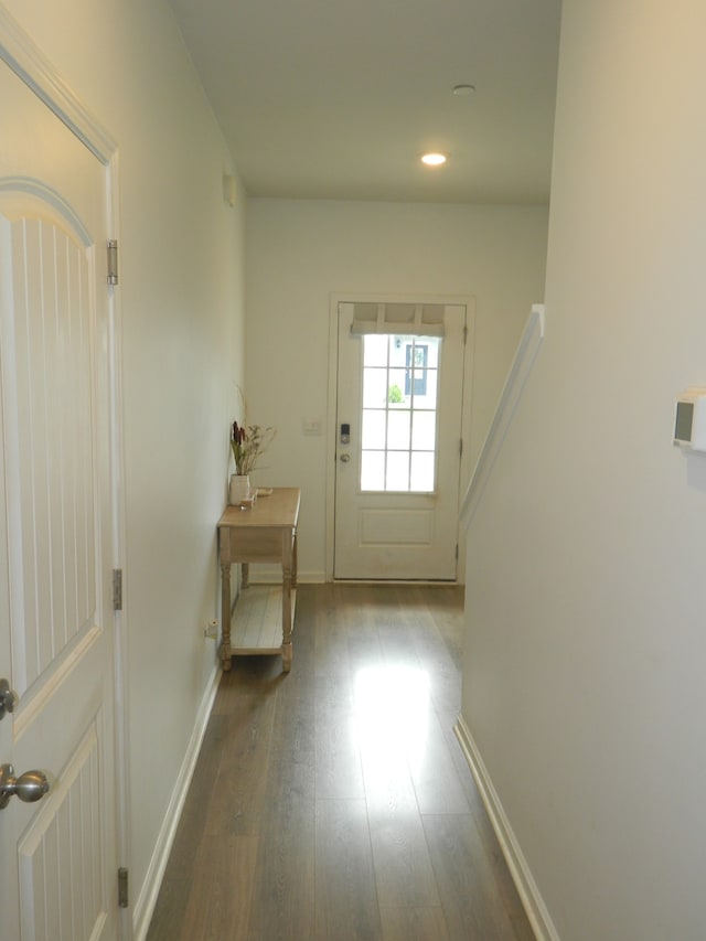 entryway featuring wood-type flooring