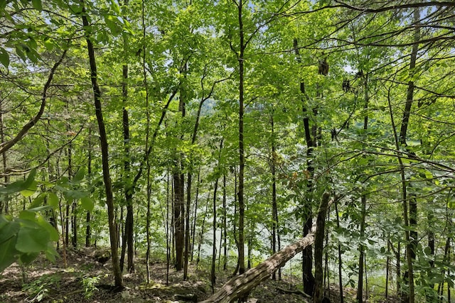 view of landscape