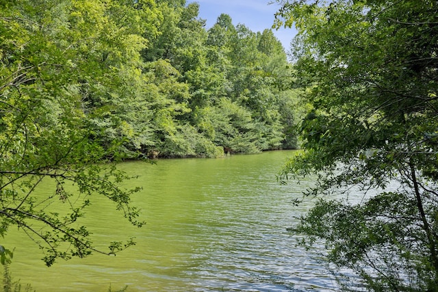 view of water feature